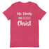 products/unisex-premium-t-shirt-heather-raspberry-front-603918cedda82.jpg